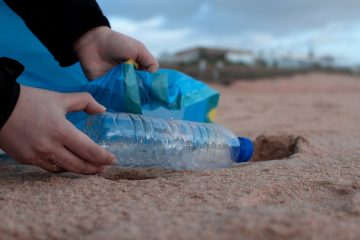 Análisis de afirmaciones de calidad en el sector empresarial